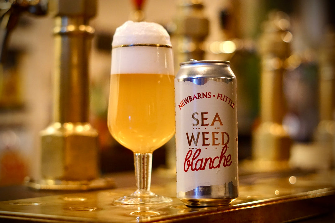 Seaweed Blanche - Futtle Collaboration