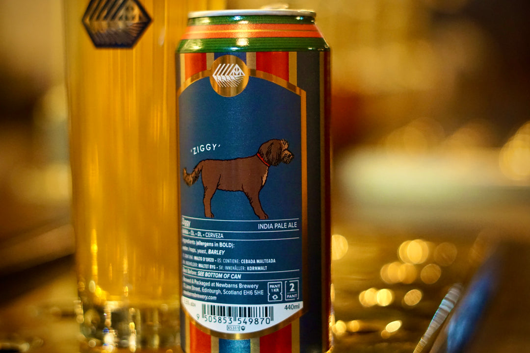 Ziggy IPA